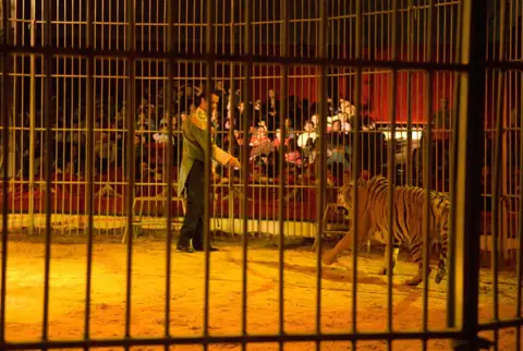 9^ edizione 2007 – foto 15