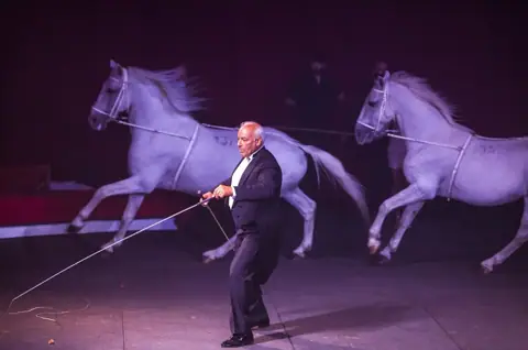 La più autentica cultura del Circo, la ricchezza dell’antica tradizione circense italiana, il prestigio di una grande famiglia di artisti, l’esaltazione del rapporto uomo – animali: con VINICIO CANESTRELLI TOGNI si realizza l’incanto.