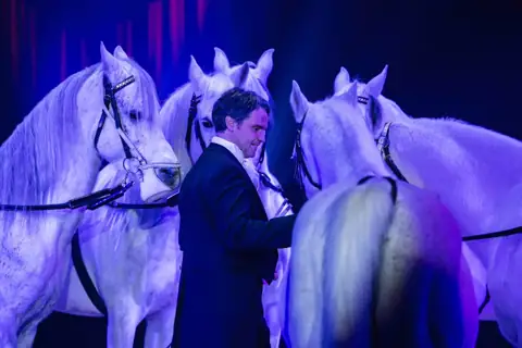 Un caposaldo dello spettacolo circense tradizionale: gli animali. Si continua a definire la rosa dei numeri in gara all’International Circus Festival of Italy. Il debutto: Giovedì 12 Ottobre, ore 21.00, a Latina in via Rossetti. – foto 1